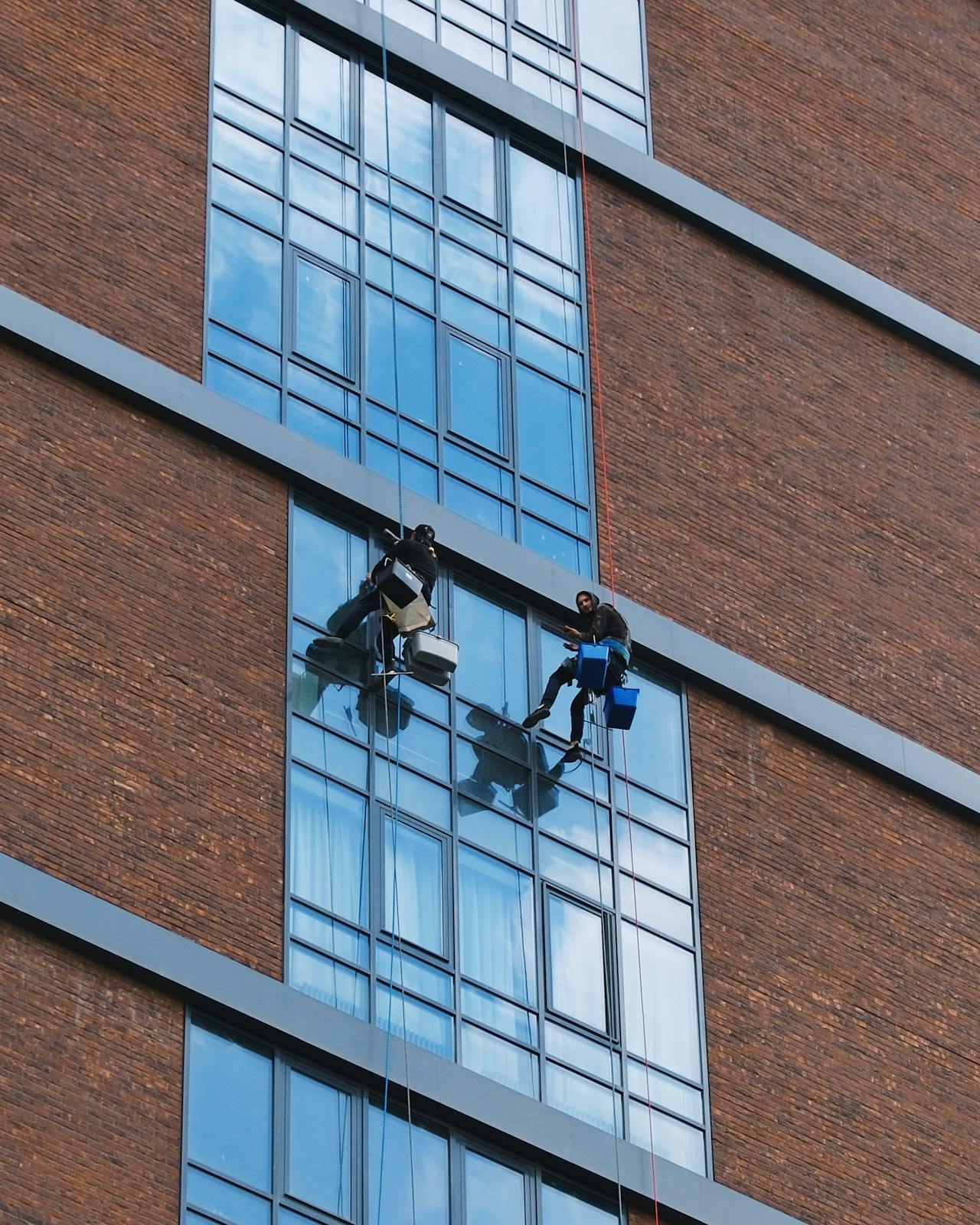 People Hanging and Cleaning Windows